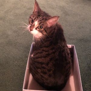 Meet your Posher, Staci